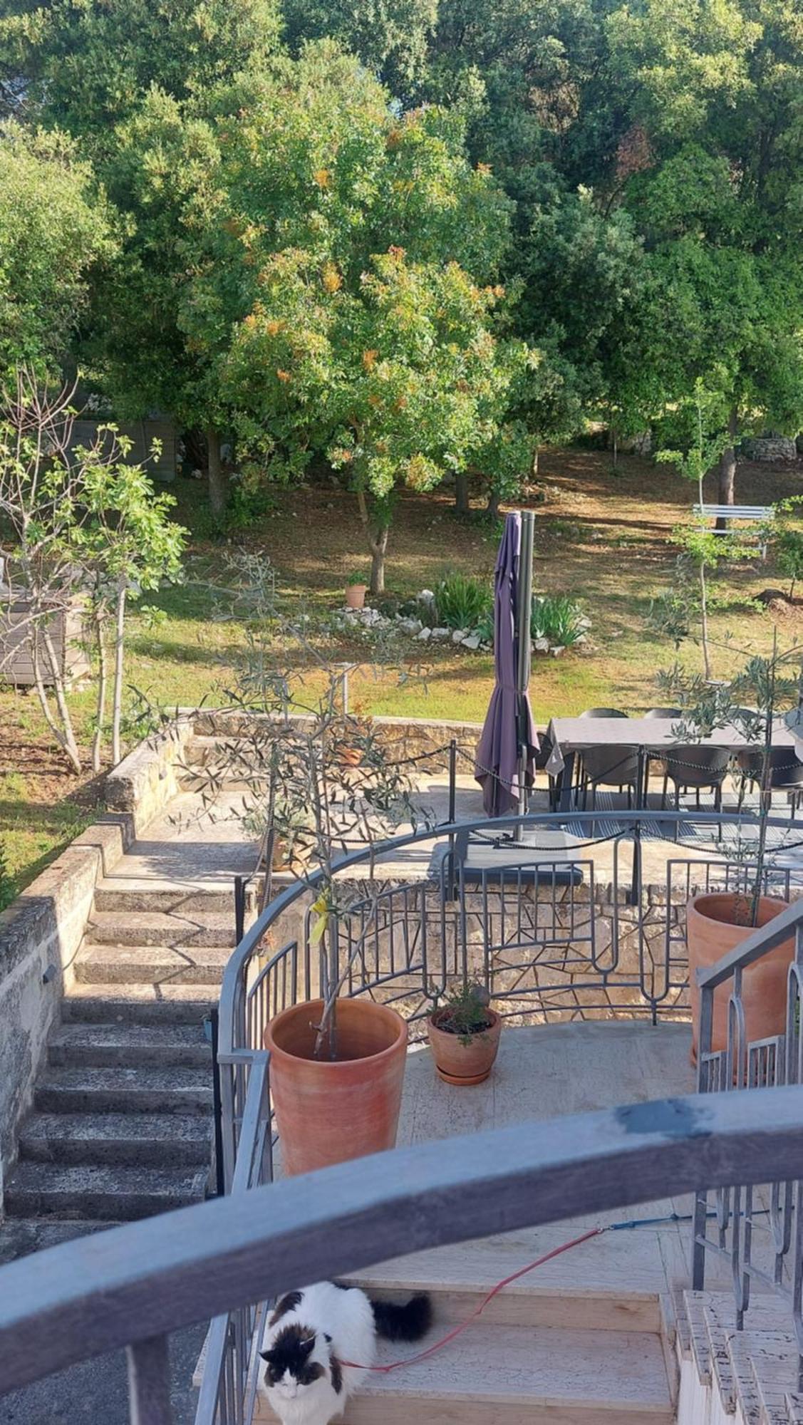 Marta Apartment Rovinj Exterior foto